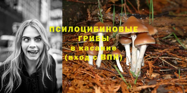 MDMA Армянск