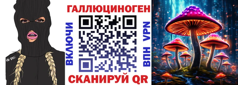 Псилоцибиновые грибы Cubensis  купить   Волхов 