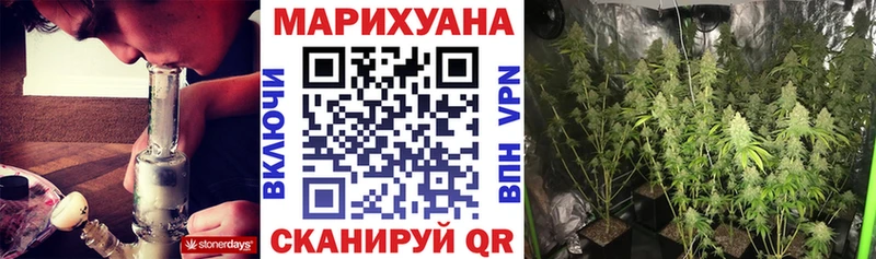 mega зеркало  продажа наркотиков  Волхов  Марихуана VHQ 
